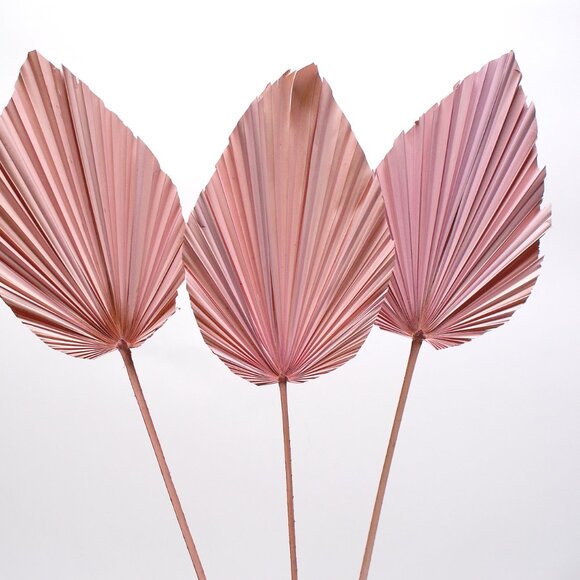 ANAHAW LEAF MED - Picture 8 of 9